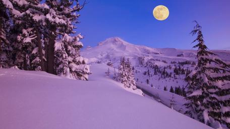 Winter's Embrace Under a Full Moon wallpaper