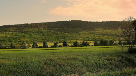 Serene Green Hills Beneath a Gentle Sky wallpaper