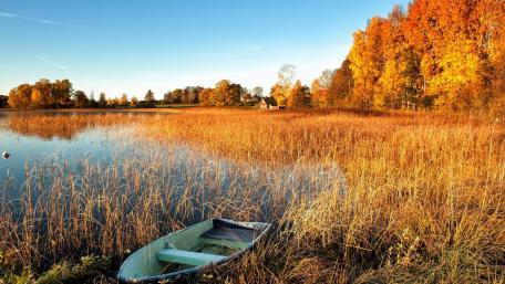 Autumn Serenity by the Lake wallpaper