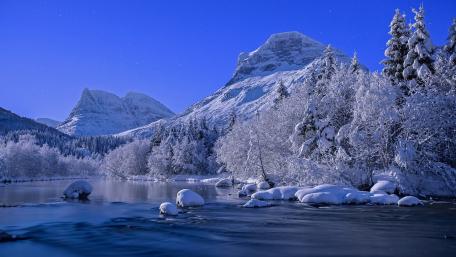 Majestic Winter Serenity in Nature wallpaper