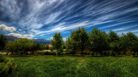 Serene Meadow under a Vast Sky wallpaper