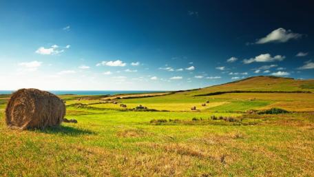Serene Hayfield Under a Bright Sky wallpaper
