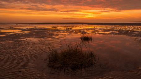 Serene Sunset Over Tranquil Lake Shoreline wallpaper