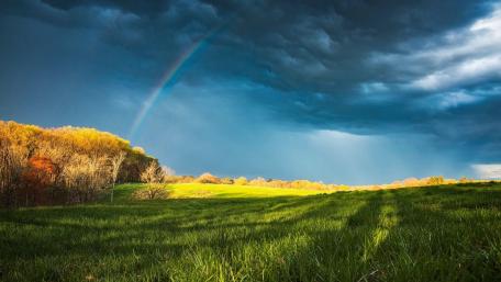 Vibrant Rainbow Over Lush Field Amidst Dark Clouds wallpaper
