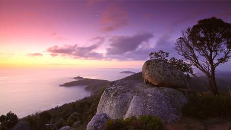 Serene Dawn at the Coastline wallpaper