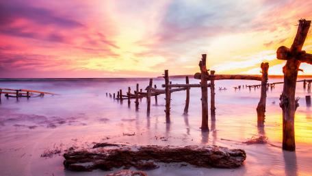 Serenity of Sunlit Shores wallpaper