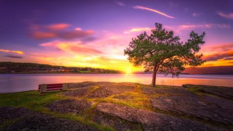 Solitary Sunset Beauty by the Riverside wallpaper