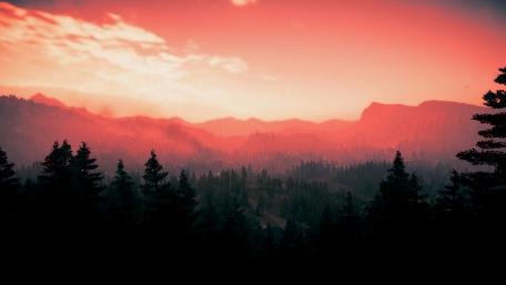 Forest thoughts wallpaper