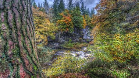 Autumn river wallpaper