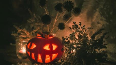 Spooky Jack O'Lantern for Halloween Celebration wallpaper