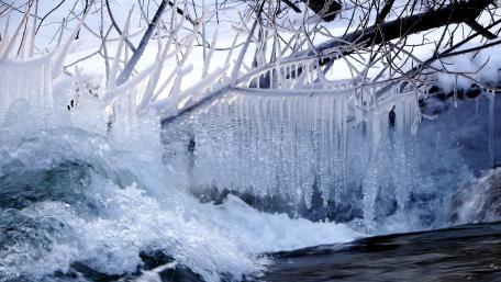 Icicles wallpaper