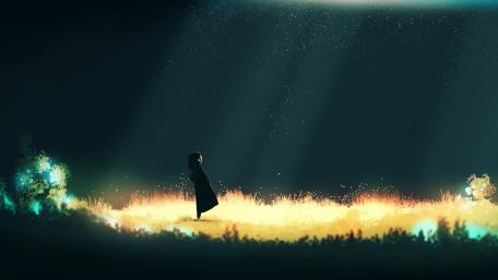 Gazing at the Night Sky wallpaper