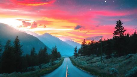 Road in the middle of the forest wallpaper