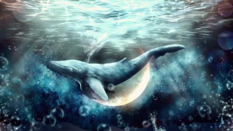 Ocean Dreamscape with Majestic Whale Magic wallpaper