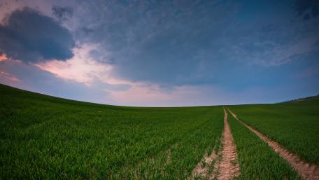 Serene Horizon Over Green Grassland wallpaper