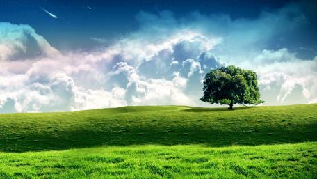 Solitary Beauty of a Green Hill wallpaper