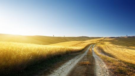 Golden Prairie Path Under a Clear Sky wallpaper