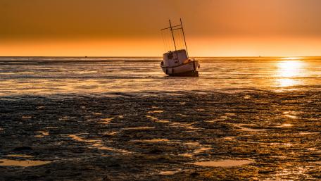 Tranquil Sunset at Stranded Ship Shoreline wallpaper