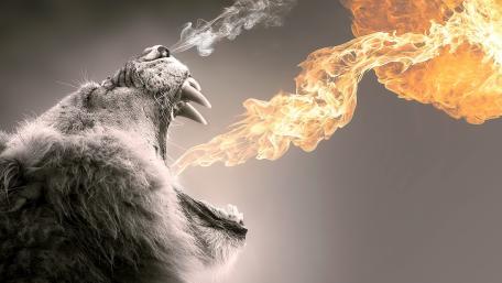 Fiery breath wallpaper