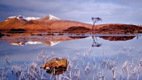 Winter Serenity in Nature's Reflection wallpaper