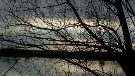 Serene Lake at Dusk with Silhouetted Trees wallpaper