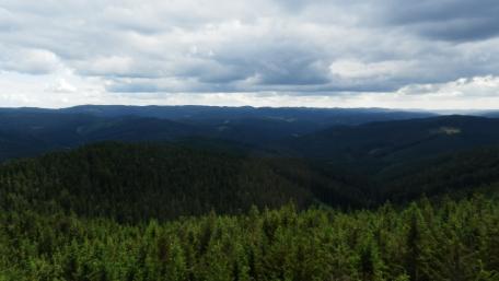 Majestic Mountain View Amidst Evergreen Forests wallpaper