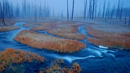 Serene Foggy Riparian Landscape wallpaper