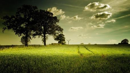 Serene Green Fields with Wind Turbines wallpaper