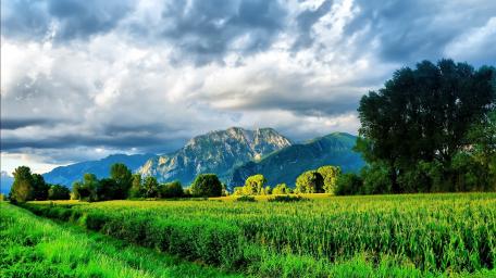 Vibrant Spring Landscape with Majestic Mountains wallpaper