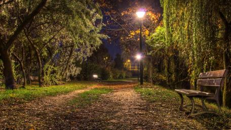 Serene Night in the Park wallpaper