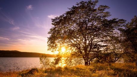 Serenity of Sunset by the Lake wallpaper