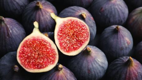 Fig wallpaper