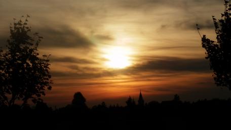 Golden Sunset Through Silhouetted Trees wallpaper