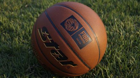 Basketball on the Grass Field Wallpaper wallpaper
