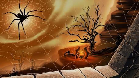 Creepy Halloween Spider Web Scene wallpaper