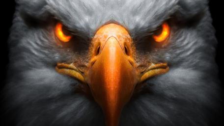 Fierce Bald Eagle with Glowing Eyes wallpaper