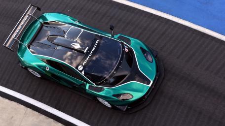 Arrinera Hussarya wallpaper