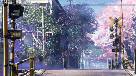 Springtime Blossom in Tokyo's Heart wallpaper