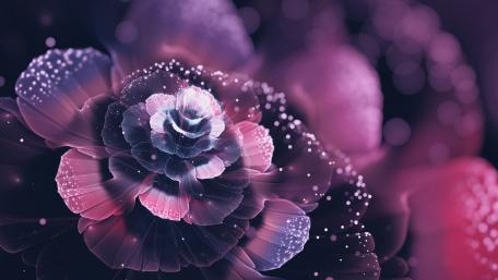 Glowing Abstract Flower in Purple Hues wallpaper