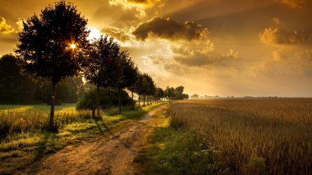 Serene Sunset Over a Tranquil Landscape wallpaper
