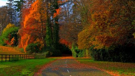 Autumn Serenity Awaits You wallpaper