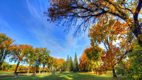 Vibrant Autumn Landscape with Clear Blue Sky wallpaper