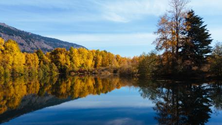 Autumn Serenity in Nature's Reflection wallpaper