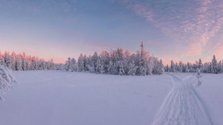 Winter Wonderland at Dawn wallpaper