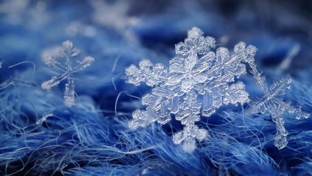 Winter's Ethereal Blue Elegance wallpaper