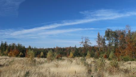 Serene Autumn Landscape with Vibrant Foliage and Clear Skies wallpaper
