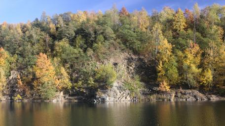 Autumn Serenity in a Forest Landscape wallpaper