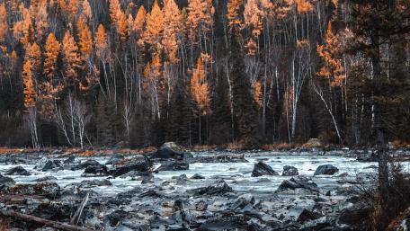 Autumn Serenity in a Forest River Scene wallpaper