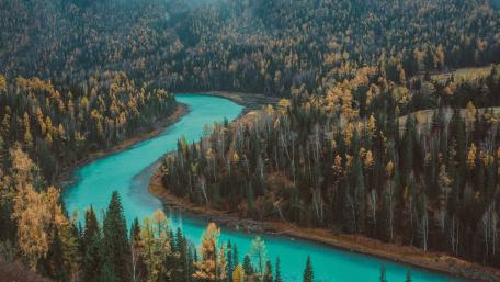 Majestic Autumn Riverbend in the Forest 5K Wallpaper wallpaper
