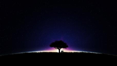 Silent Love Under the Stars wallpaper